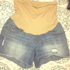 Maternity Shorts
